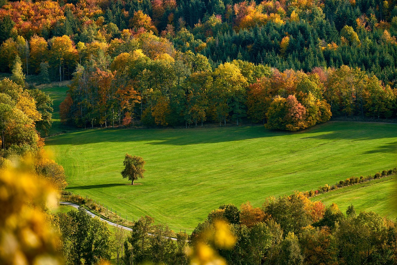 entdecken sie die faszinierende welt der farben! von leuchtenden tönen bis hin zu sanften nuancen – lernen sie, wie farben unsere stimmung beeinflussen und kreative designs beleben können.