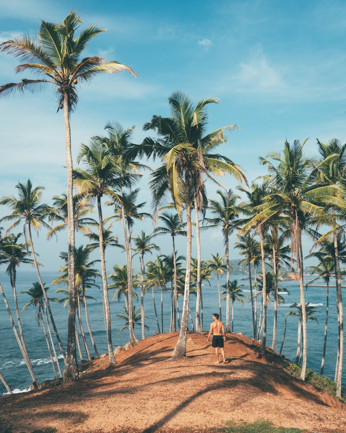 services-03 Man walking amidst coconut palms by the ocean in Mirissa, Sri Lanka, embodying tropical paradise vibes.
